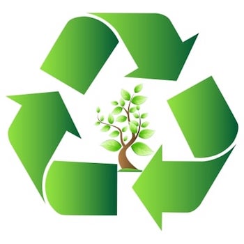 Karton-Recycling bei marinSolar